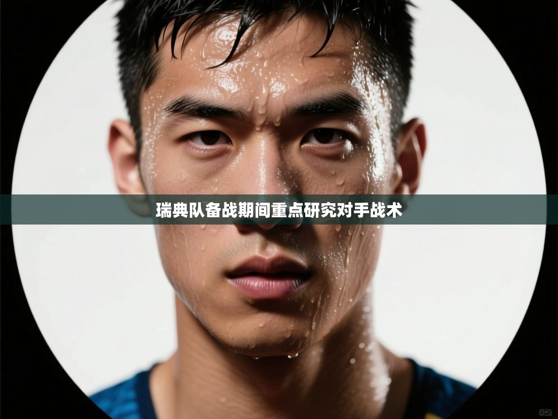 瑞典队备战期间重点研究对手战术  第1张